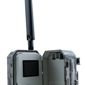 Fotopułapka BG662-M 4G LTE na działkę i do lasu — zdjęcia na telefon, noc i 4K