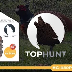 Zestaw Fotopułapka z podglądem na żywo HC-950Pro AKU + Preparat do wabienia dzików